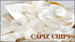 capiz chips